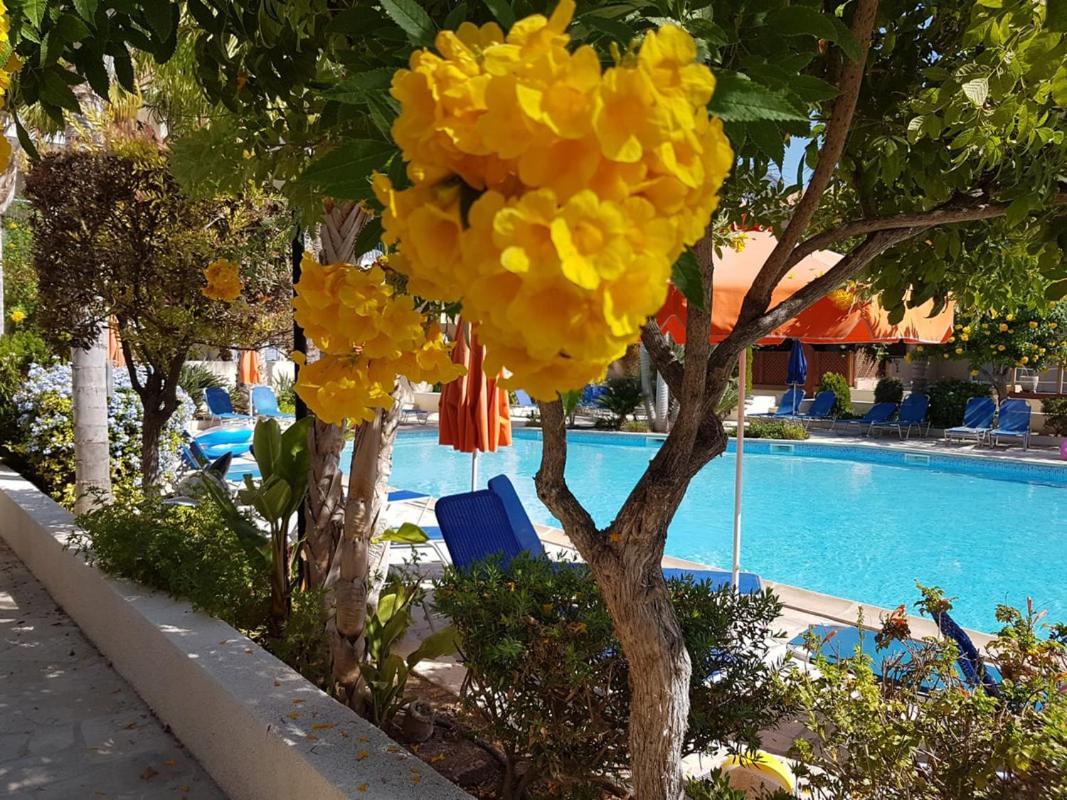 Villa Ilios in Kato Paphos Esterno foto